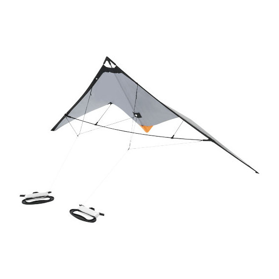 Cerfvolant personnalisable Trendline express