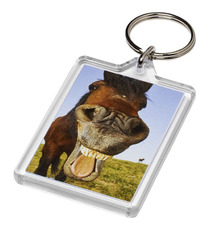 Porte-clefs publicitaire plastique Vito rectangulaire