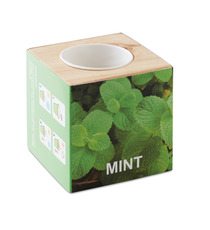 Pot en bois personnalisé avec graines de menthe Menta