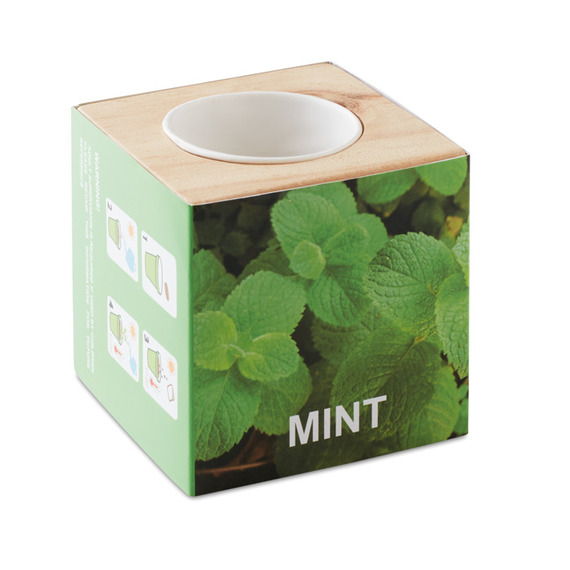 Pot en bois personnalisé avec graines de menthe Menta