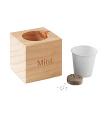 Pot en bois personnalisé avec graines de menthe Menta