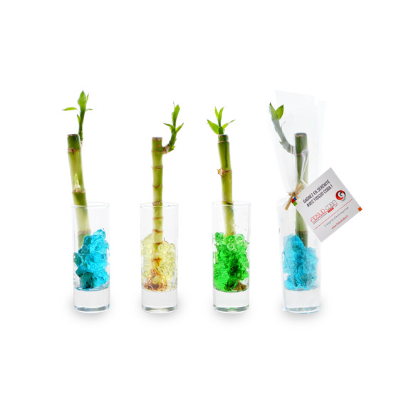 Bambou publicitaire d'eau en vase individuel