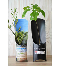 Etui publicitaire arbre - Plants