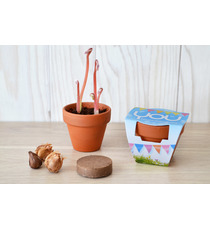 Kit publicitaire de plantation terre cuite  6 cm