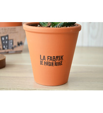 Kit publicitaire de plantation Terre cuite 10 cm