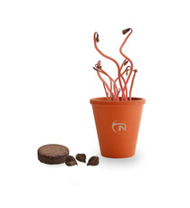 Kit publicitaire de plantation Terre cuite 9 cm