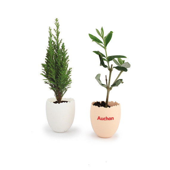 L'ŒUF publicitaire - Mini Plant d'arbre