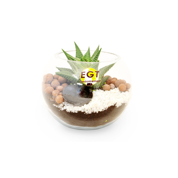 Terrarium publicitaire en Kit - Petit modèle plante dépolluante