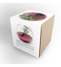 Terrarium publicitaire en Kit - Grand modèle Ficus Ginseng