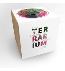 Terrarium publicitaire en Kit - Grand modèle Ficus Ginseng