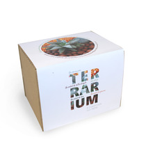 Terrarium publicitaire en Kit - Petit modèle plante dépolluante