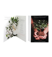 Plante publicitaire Postale: Bambou, Olivier, Eucalyptus, Palmier