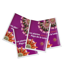 Sachet publicitaire de graines 82x110 mm 1 coul