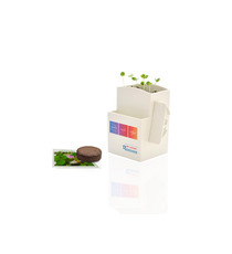 La Vegetal-box publicitaire Kit graines