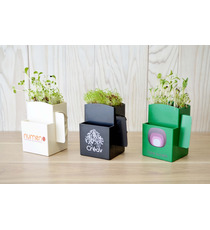 La Vegetal-box publicitaire Kit graines