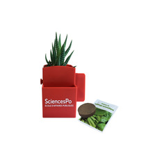 La Vegetal-box publicitaire Kit graines