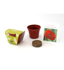 Kit publicitaire Jardin Ecolo - pot paille de riz couleur