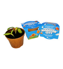 Kit publicitaire Jardin Ecolo - pot biodégradable  paille de riz