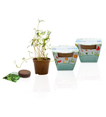 Kit publicitaire Jardin Ecolo - pot biodégradable  paille de riz