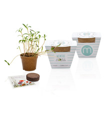 Kit publicitaire Jardin Ecolo - pot biodégradable  paille de riz