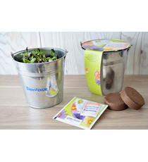 Kit publicitaire de semis - pot zinc 12 cm