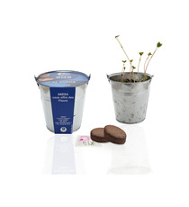 Kit publicitaire de semis - pot zinc 10 cm