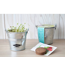 Kit publicitaire de semis - mini pot zinc 8 cm