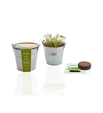 Kit publicitaire de semis - mini pot zinc 8 cm