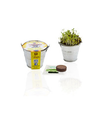 Kit publicitaire de semis - mini pot zinc 6 cm