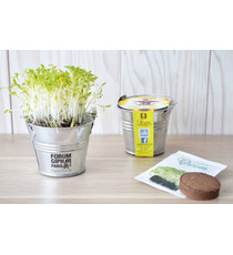 Kit publicitaire de semis - mini pot zinc 6 cm