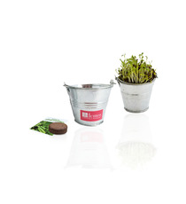 Kit publicitaire de semis - mini pot zinc 6 cm