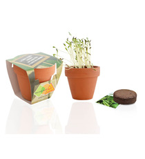 Kit publicitaire de plantation Terre cuite 9 cm