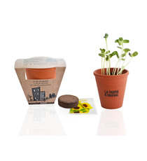 Kit publicitaire de plantation Terre cuite 10 cm