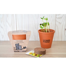 Kit publicitaire de plantation Terre cuite 10 cm