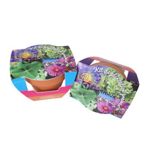 Kit publicitaire de plantation terre cuite  6 cm