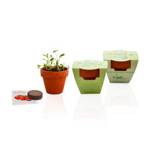 Kit publicitaire de plantation terre cuite  6 cm