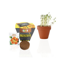 Kit publicitaire de plantation terre cuite  6 cm