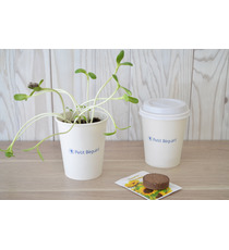 Kit publicitaire de plantation Pot Carton - 6 cm