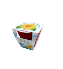 Kit publicitaire de plantation Pot Biodégradable Bambou