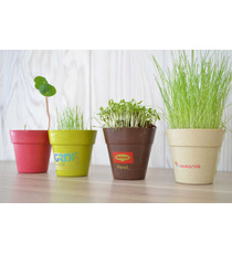 Kit publicitaire de plantation Pot Biodégradable Bambou