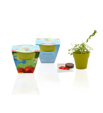 Kit publicitaire de plantation Pot Biodégradable Bambou