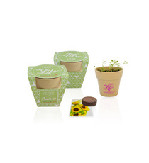 Kit publicitaire de plantation Pot Biodégradable Bambou