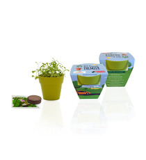 Kit publicitaire de plantation Pot Biodégradable Bambou