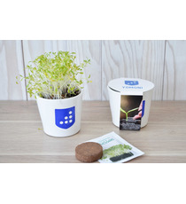 Kit publicitaire de plantation céramique rond 7 cm