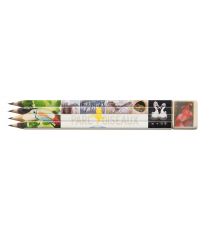 Kit de 4 crayons publicitaires quadri mine graphite avec 1 gomme