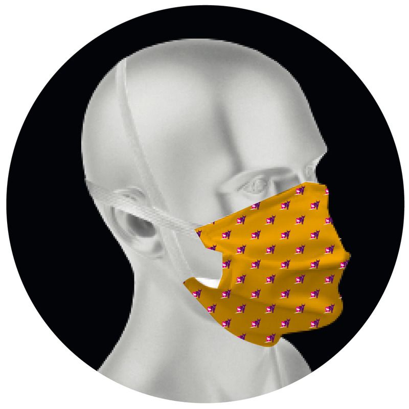 Masque Barrière PORCHER INDUSTRIES - Pack De 2 - Lavable 50 Fois - Conforme AFNOR - Tissu Polyester