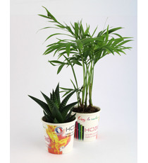 Petit pot carton plante publicitaire