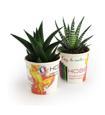 Petit pot carton plante publicitaire