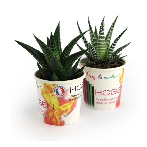 Petit pot carton plante publicitaire