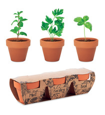 Ensemble de 3 pots en terre cuite personnalisable